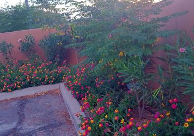 Groves Assisted Living 42