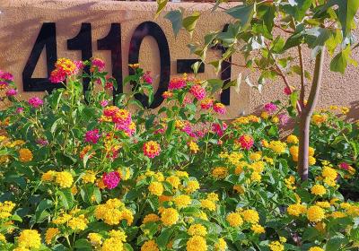 Groves Assisted Living 43