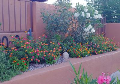 Groves Assisted Living 52